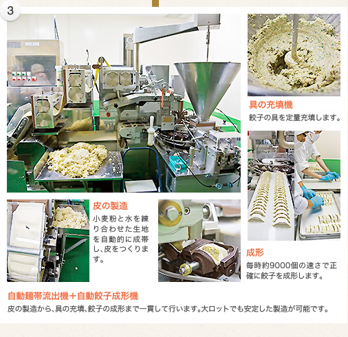 皮の製造/具の充填機/成形/自動麺帯流出機＋自動餃子成形機